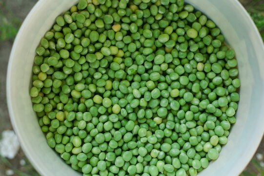 many peas in toa