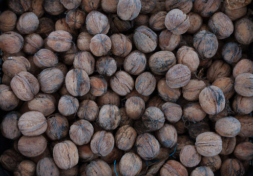 frozen nuts