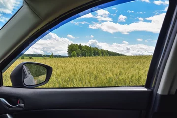 Behangcirkel view of the wheat field in the car window © Олег Спиридонов
