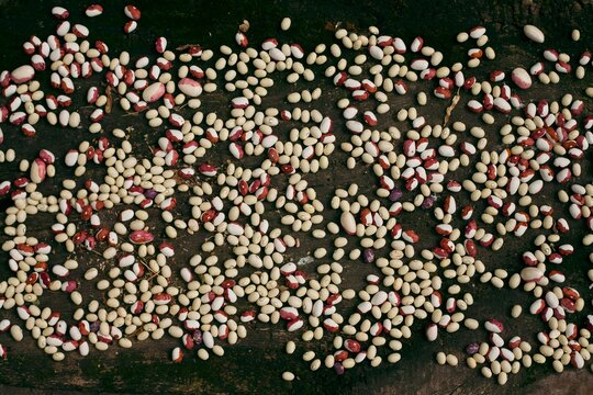 beans on wooden background