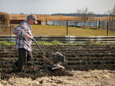 Male farmer cultivates the land