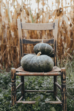 rustic pumpkins