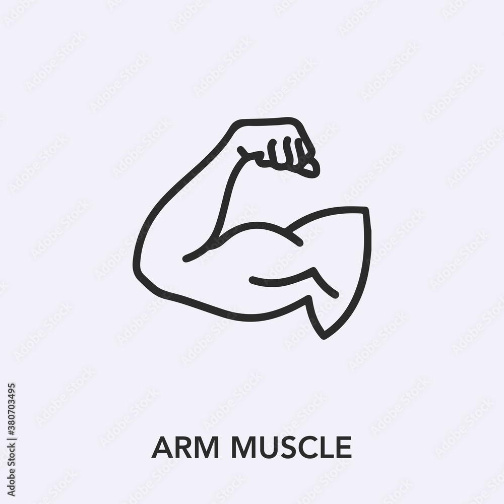 Poster arm muscle icon vector. linear style sign for mobile concept and web design. arm muscle symbol illus