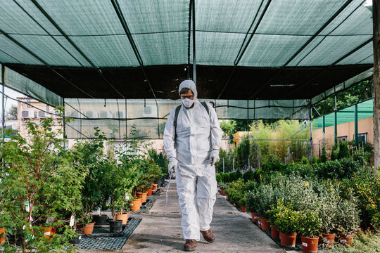 Man wearing a professional protective coverall to fumigate plant