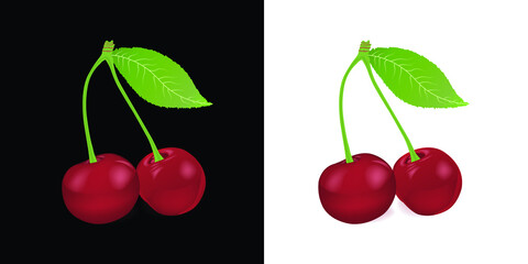 cherries Isolated on white background. Cherry Vector Illustration