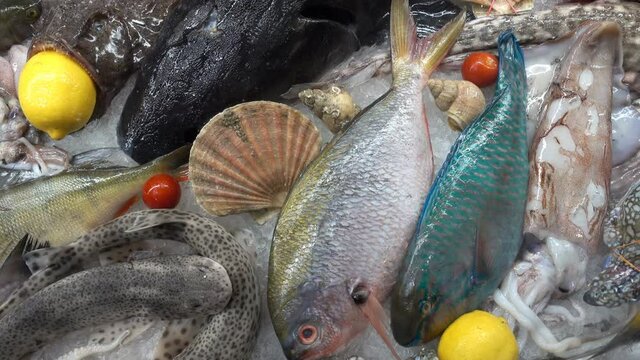 Various raw fish and seafood in 4k
