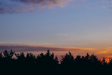 Early sunrise over the forest with orange and pink clouds.
