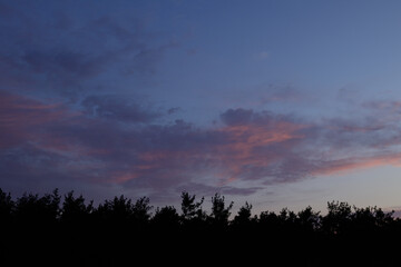 Early sunrise over the forest with orange and pink clouds.