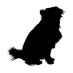 Sitting Mongrel Dog (Canis Lupus) On a Front View Silhouette Found In Map Of All Around The World. Good To Use For Element Print Book, Animal Book and Animal Content