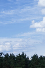 Dramatic stormy cumulus clouds above the top of the forest trees.
