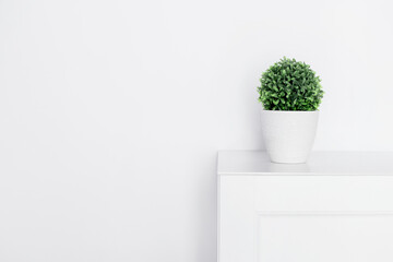 artificial plant in a pot on a white cabinet in a white interior, free space, place for text