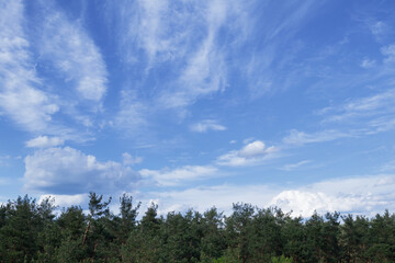Dramatic stormy cumulus clouds above the top of the forest trees.
