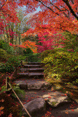 Stone path surrounded by lush, vibrant fall colors at Seattle Japanese Garden
