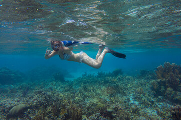Young woman in bikini snorkeling free diving in clear tropical ocean waters with coral reef 