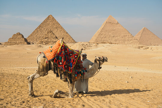 Camel Driver With Camel in Front of the Pyramids at Giza, Egypt