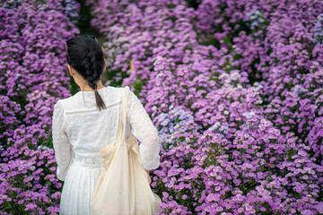 Young woman walking at blossom Margaret flowers garden.