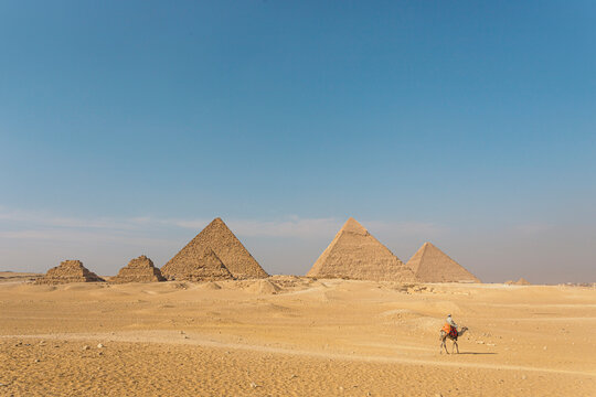 Camel Driver With Camel in Front of the Pyramids at Giza, Egypt