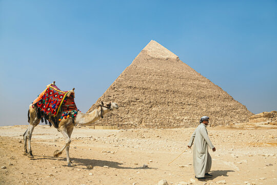 Camel Driver With Camel in Front of the Pyramids at Giza, Egypt