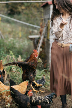 Woman Feeding Chickens In Barn