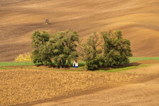 Chapel in the Field on Hills of Moravia