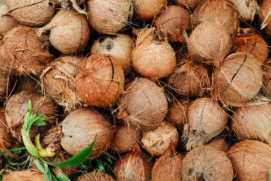 Coconut background