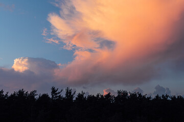 Beautiful sunset over the forest with golden clouds.