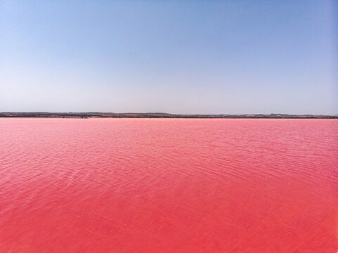 idyllic and amazing view of a shoreline of a salty pink sea lake saline