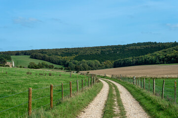 Fototapeta premium Farm track and rolling hills, countryside.