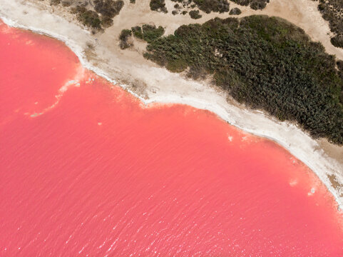 idyllic and amazing drone view of a shoreline of a salty pink sea lake saline