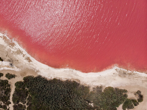 idyllic and amazing drone view of a shoreline of a salty pink sea lake saline