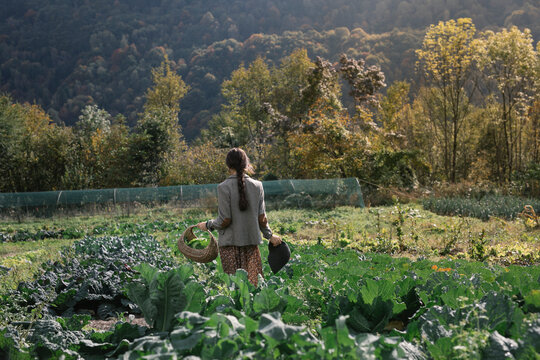 Woman Walking In Green Field