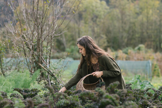 Gardener With Basket Walking Through Field