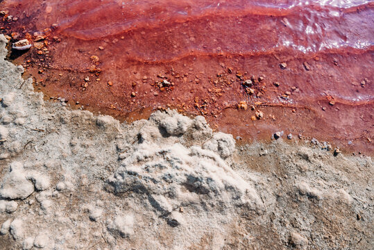 amazing shoreline of a salty pink sea lake saline