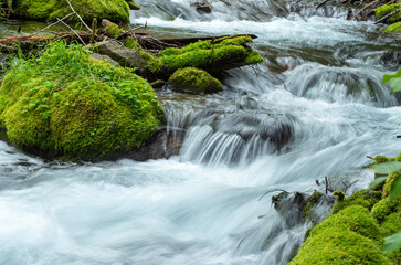 waterfall in the forest