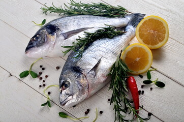 Two Fresh Dorado fish with lemon, onion and rosemary on white wooden board background, top view