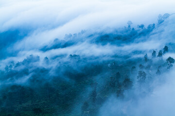 Fog waves in Ella gap between Ella rock & Little adam's peak in Sri Lanka