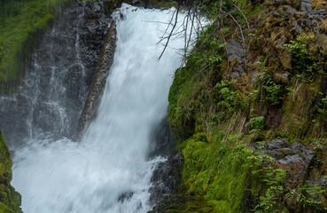 waterfall in the forest