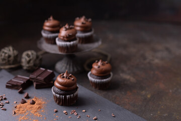 Chocolate Cupcake with Chocolate Icing and Chocolate Chips on Top; Different Kinds of Chocolate Scattered Around on a Dark Background