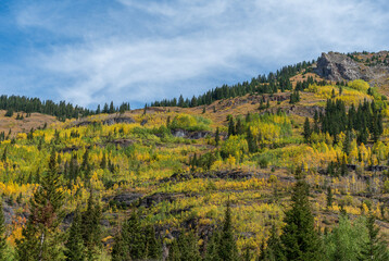 autumn in the mountains of Colorado