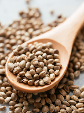 Hemp seeds
