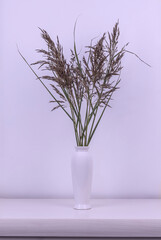 bouquet of dry grass in a white vase on a wooden table on a white background.Stylish home decor.