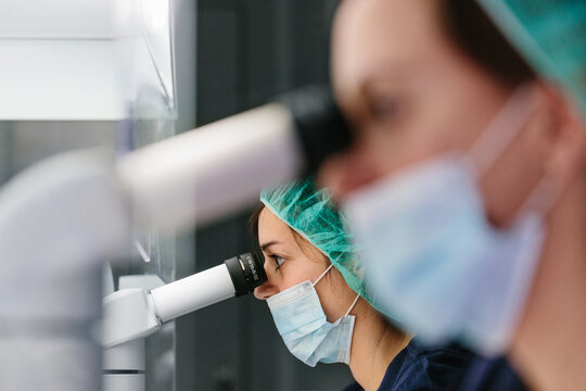 Biologists working on microscope in IVF laboratory - Powered by Adobe