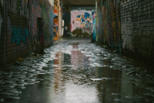 Laneway filled with rain puddles