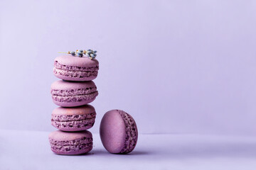 lavender macaroon on lilac background