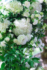 beautiful white flowers. green decorations.