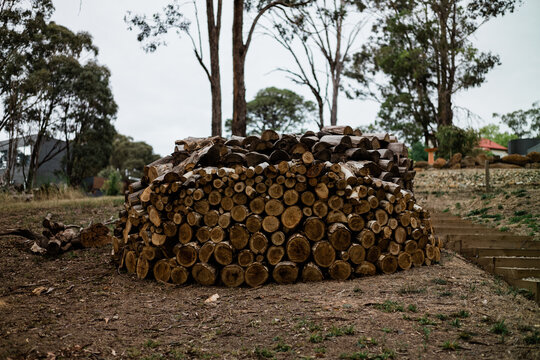 Neatly stacked circular woodpile ready for winter