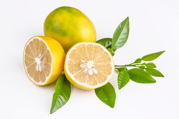 Fresh lemons isolated on white background. Ripe fruit