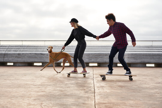 Modern couple on skateboards following dog