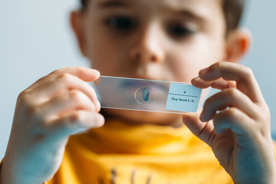 Little kid checking a sample macro test in home laboratory
