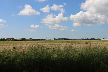 Obraz premium Cumulus clouds in blue sky in the Zuidplaspolder